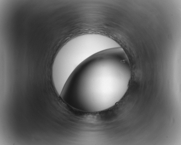X0000088900756200706080826