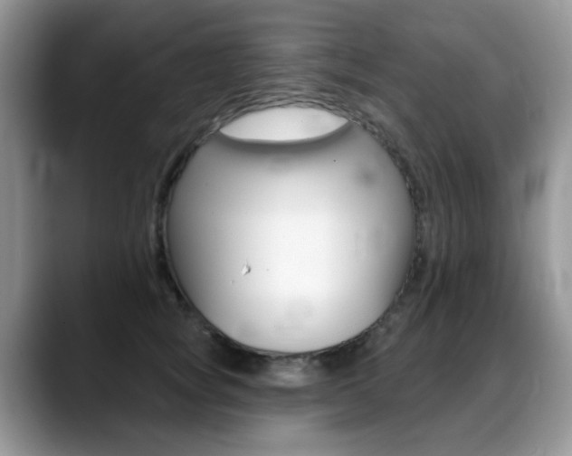 X0000088900757200706080826