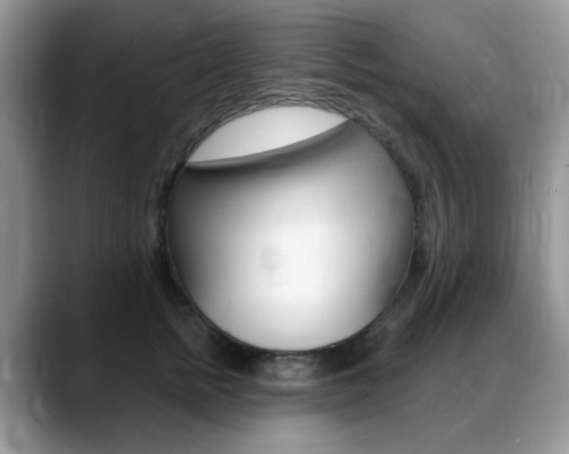 X0000088900758200706080826