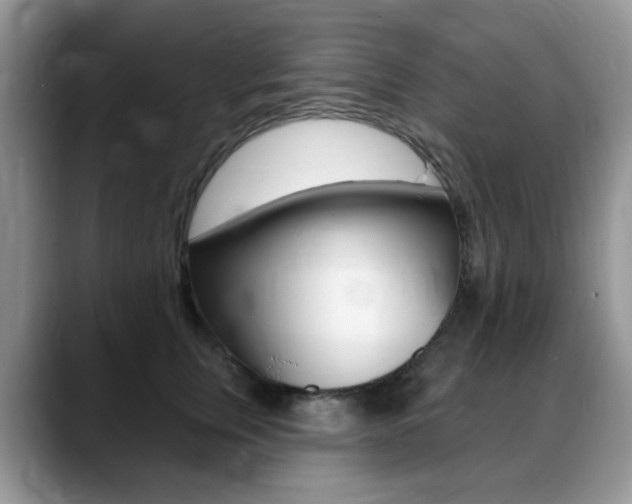 X0000088900759200706080826