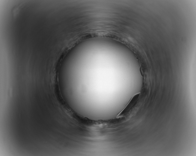 X0000088900760200706080826