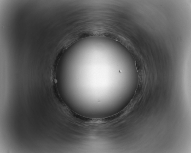 X0000088900762200706080826