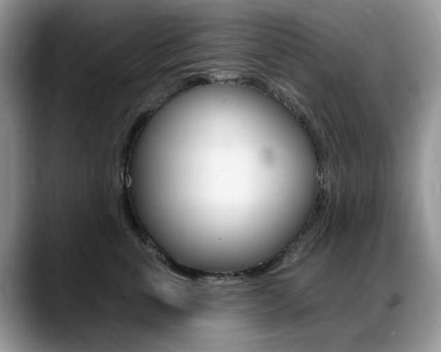 X0000088900763200706080826