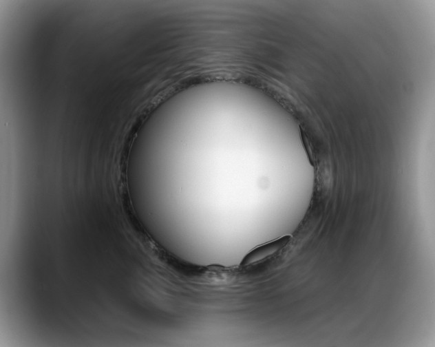 X0000088900764200706080826