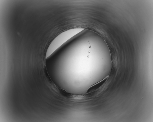 X0000088900766200706080826