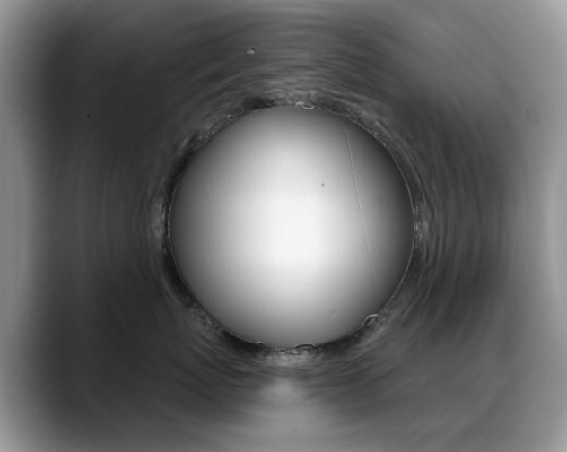 X0000088900767200706080826