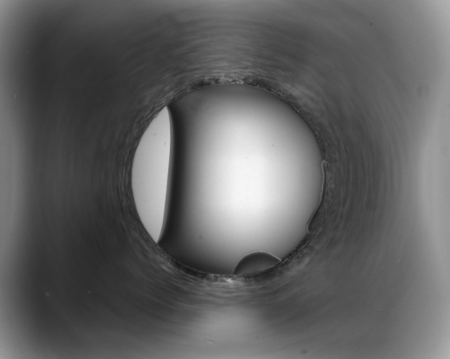 X0000088900768200706080826
