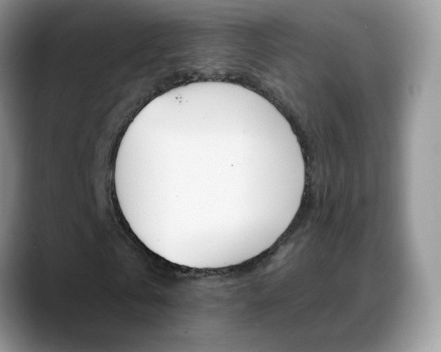 X0000088900769200706080826