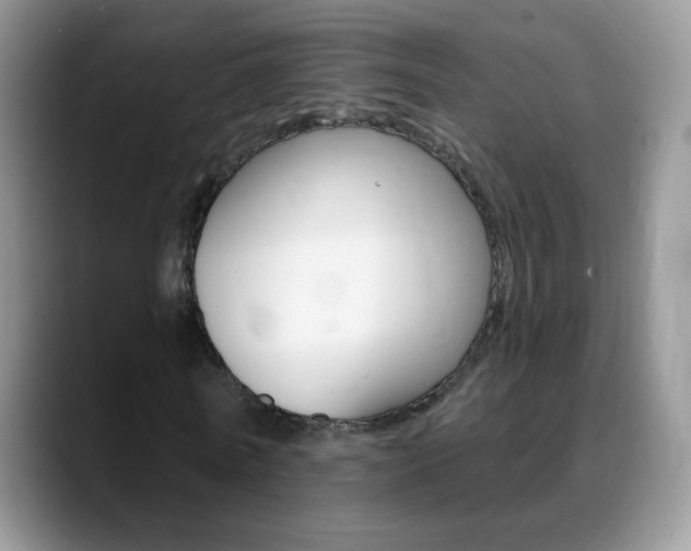 X0000088900770200706080826