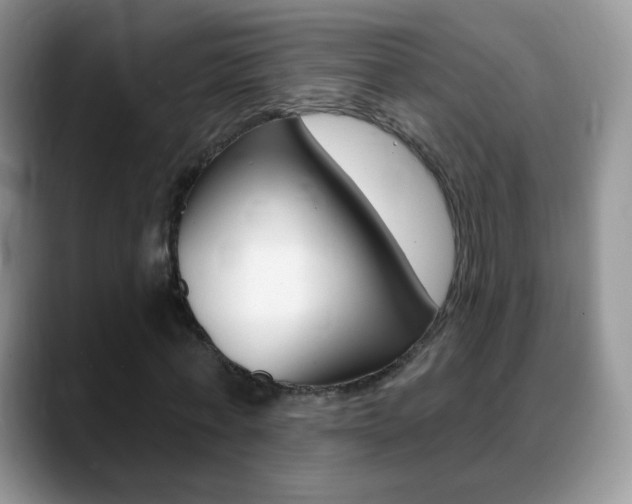 X0000088900771200706080826