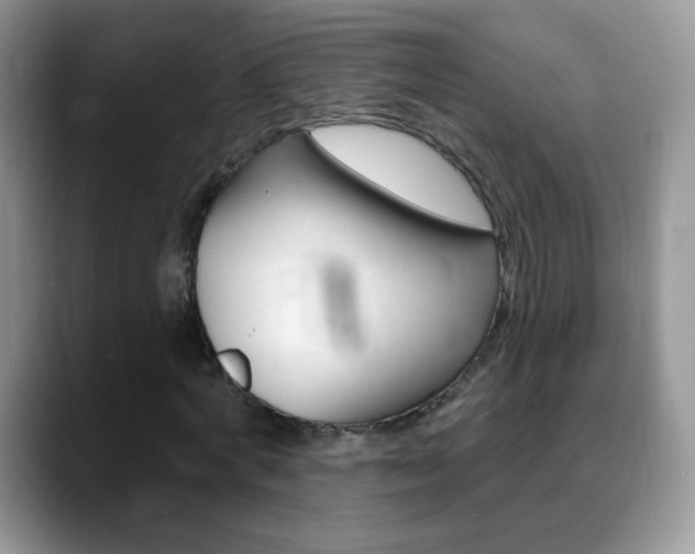 X0000088900772200706080826