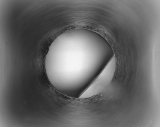 X0000088900773200706080826