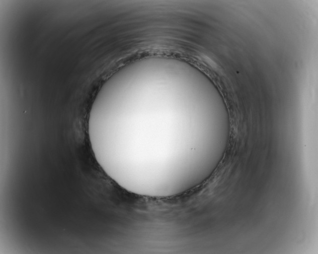 X0000088900774200706080826
