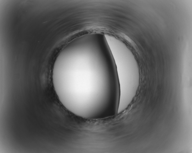 X0000088900775200706080826