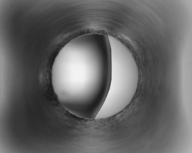 X0000088900776200706080826