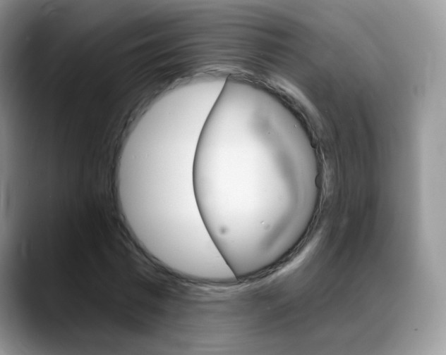 X0000088900777200706080826