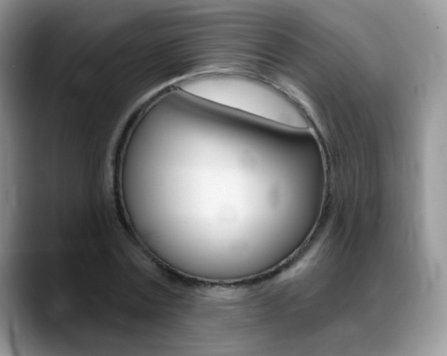 X0000088900779200706080826