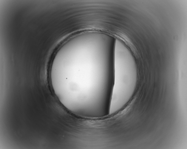 X0000088900780200706080826