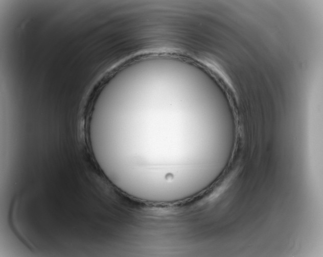 X0000088900781200706080826