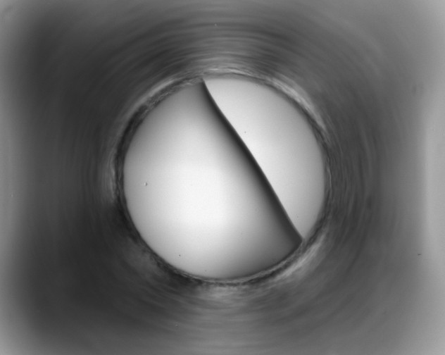X0000088900782200706080826