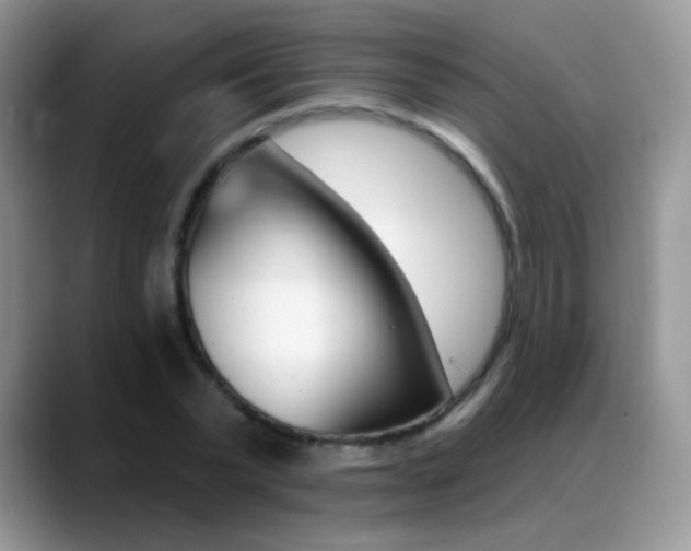X0000088900783200706080826