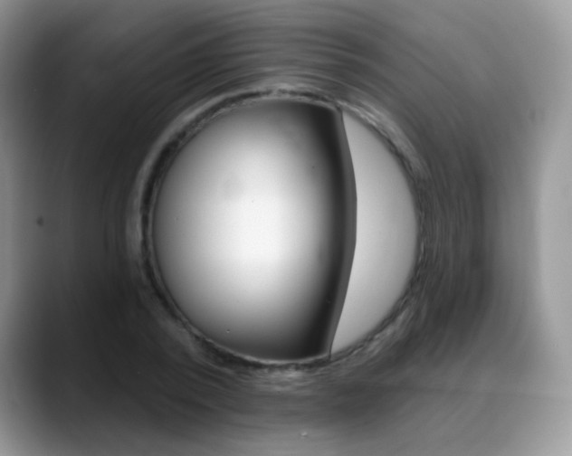 X0000088900784200706080826
