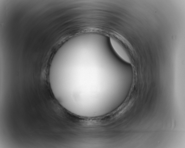 X0000088900785200706080826
