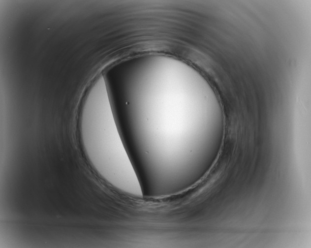 X0000088900786200706080826