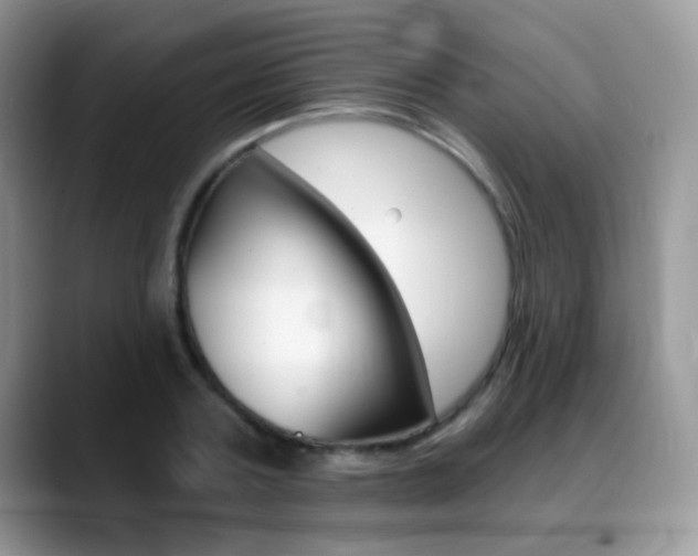 X0000088900787200706080825