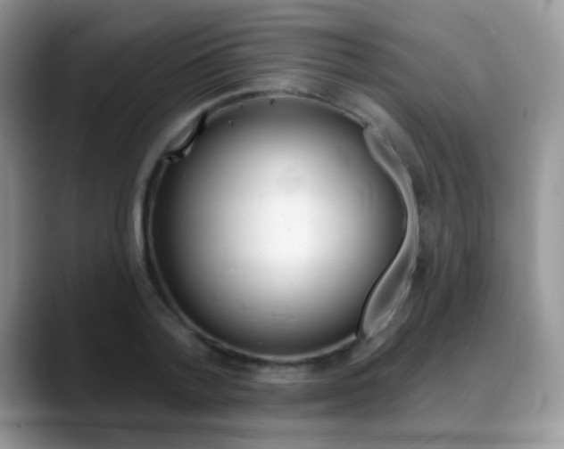 X0000088900788200706080825