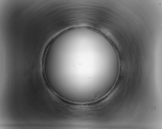 X0000088900789200706080825