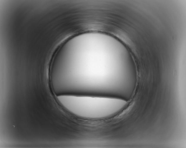 X0000088900790200706080825