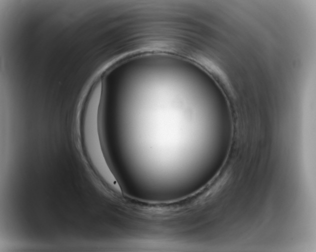 X0000088900792200706080825