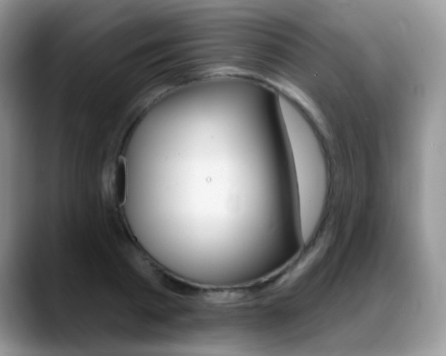 X0000088900793200706080825