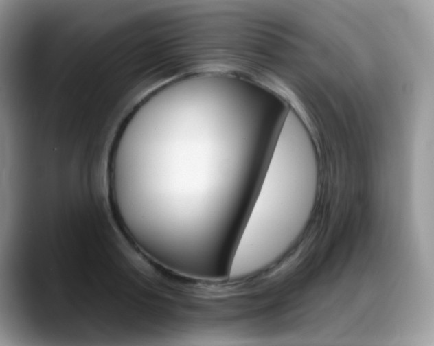 X0000088900795200706080825