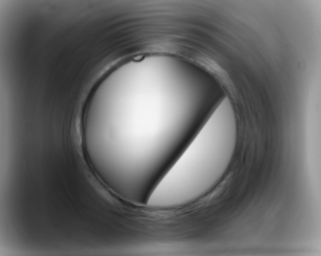 X0000088900796200706080825