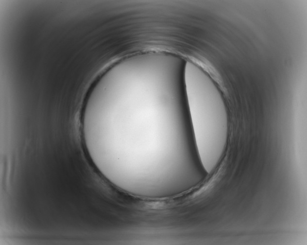 X0000088900798200706080825