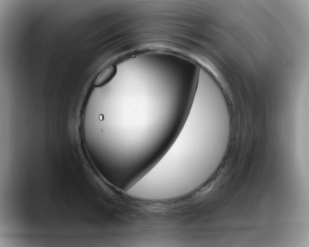 X0000088900799200706080825
