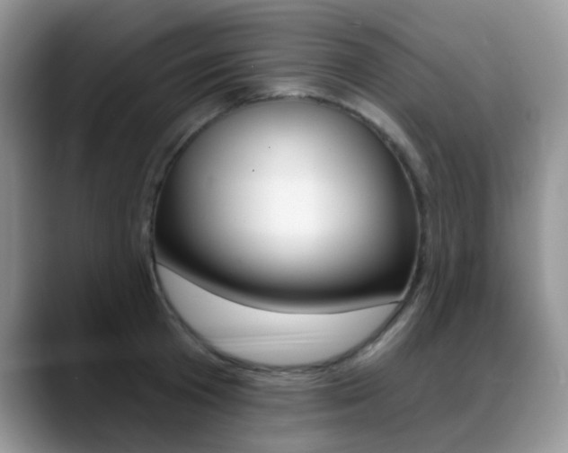 X0000088900801200706080825