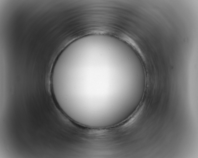 X0000088900802200706080825