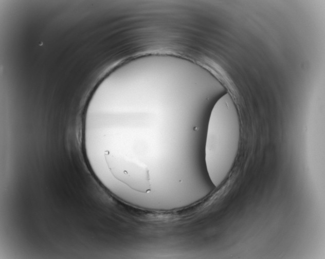 X0000088900804200706080825