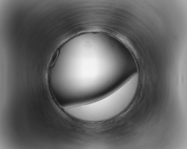 X0000088900805200706080825
