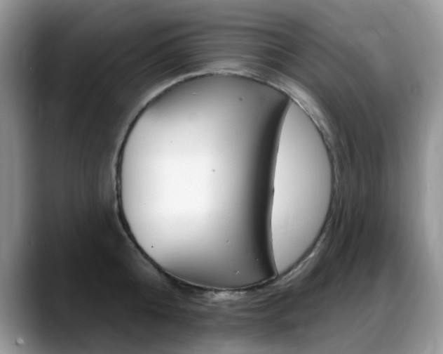 X0000088900808200706080825