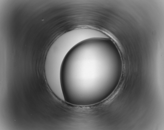 X0000088900809200706080825