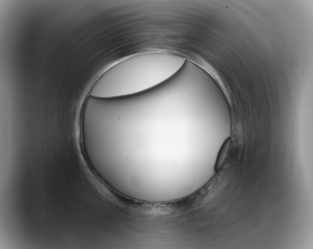 X0000088900811200706080825