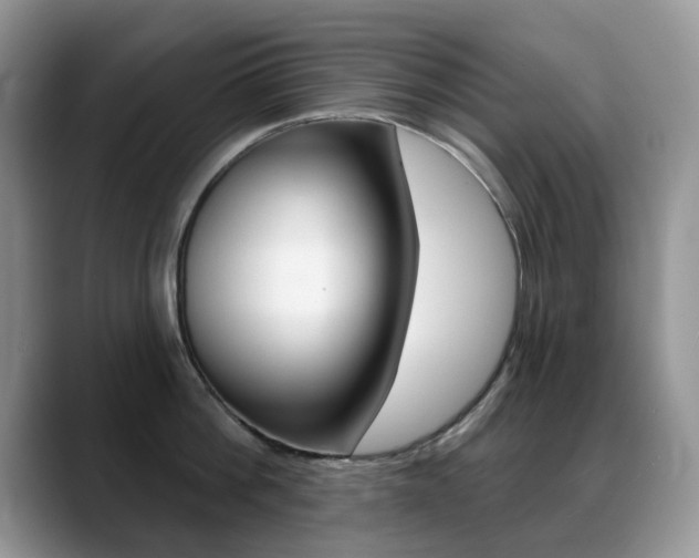 X0000088900812200706080825