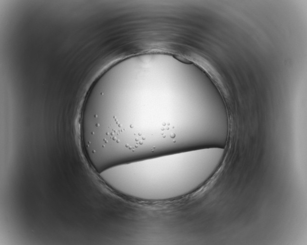 X0000088900814200706080825