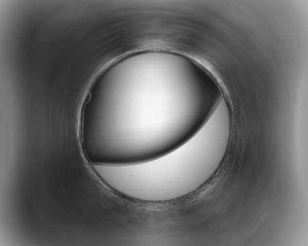 X0000088900815200706080825