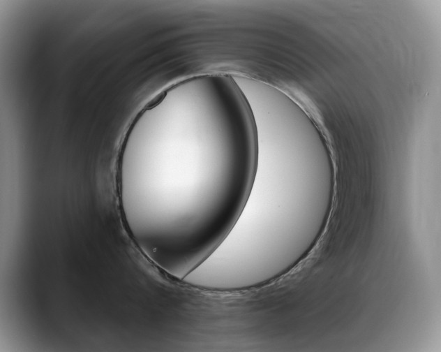 X0000088900816200706080825