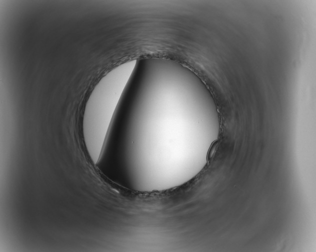 X0000088900817200706080824